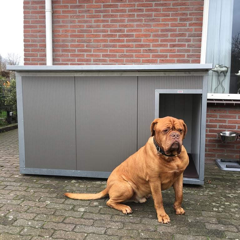 Hondenhok gesoleerd  Bruin XXL