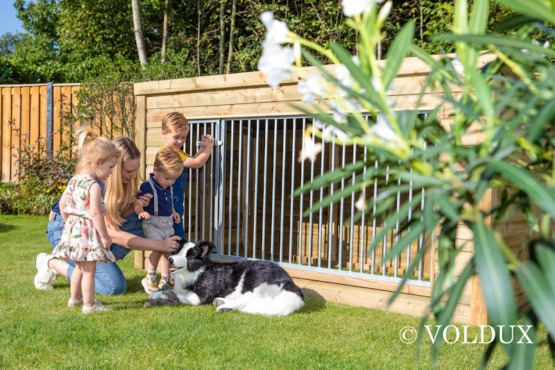 Voldux Hondenkennel Luna