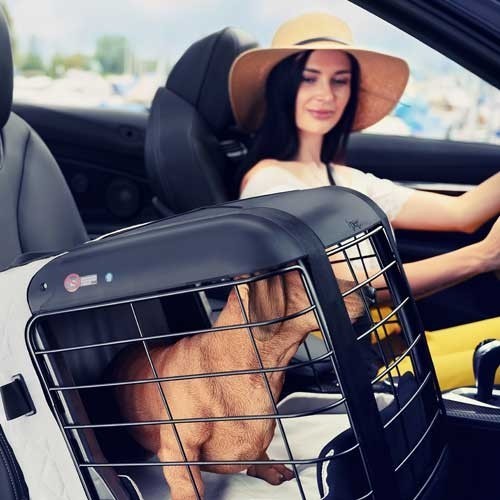 4Pets Caree Box Cool Grey voor Passagiersstoel of Achterbank