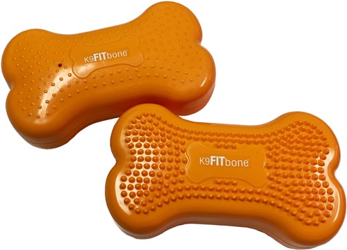 FitPAWS Bone Mini set van 2  Oranje