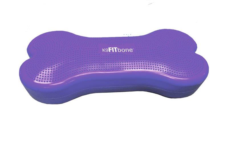 K9FITbone Balanskussen  Giant  Violet