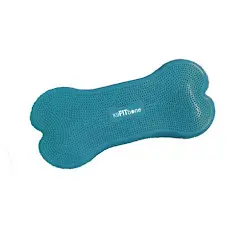 K9FITbone Balanskussen  Giant  Turquoise