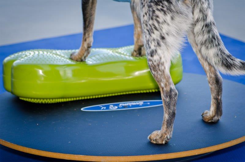 K9FITbone Balanskussen  Groen