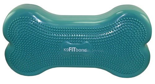 K9FITbone Balanskussen  Aqua