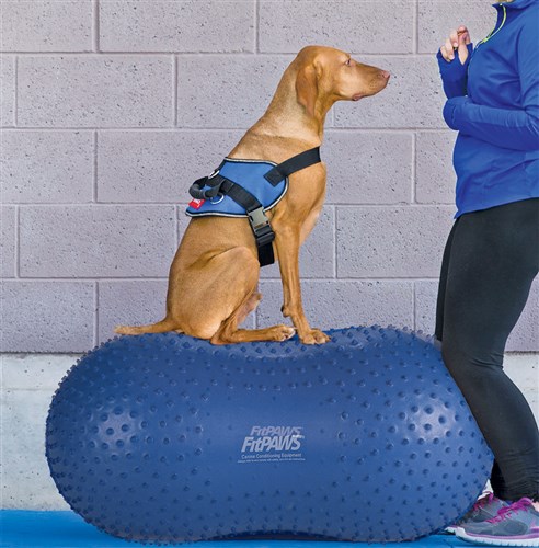 FitPAWS Peanut Trax  Blauw