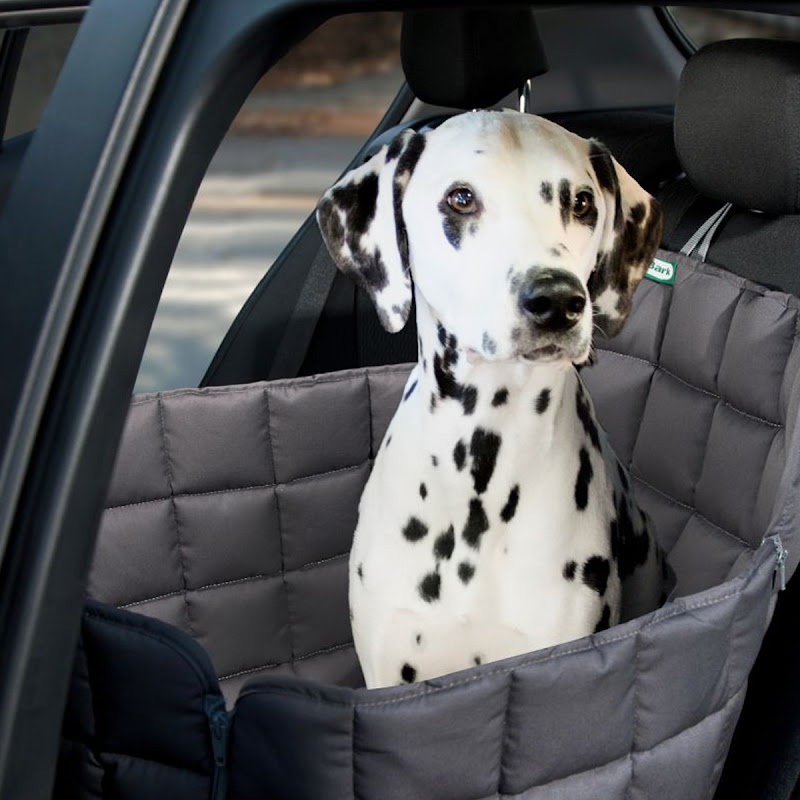 Doctor Bark 1zits Autostoel Hoes  Achterbank  Grijs  S