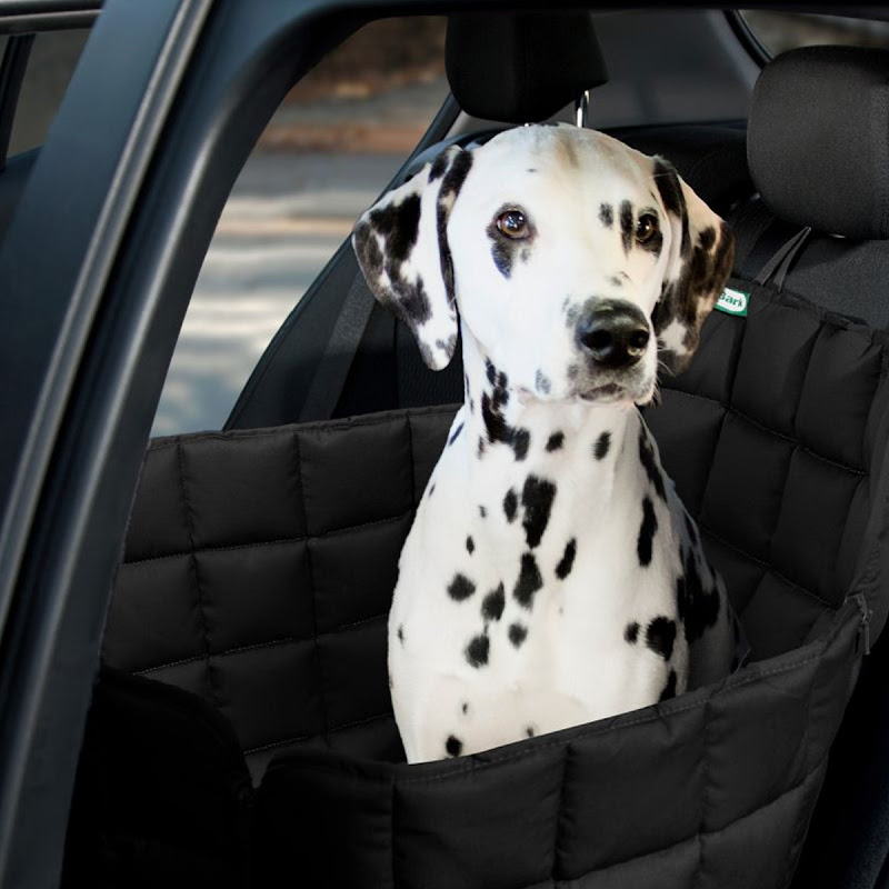 Doctor Bark 1zits Autostoel Hoes  Achterbank  Zwart  S