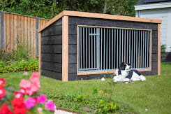 Voldux Hondenkennel Reno