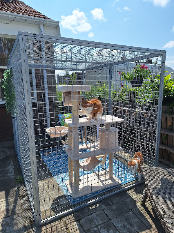 Kattenren Gegalvaniseerd  B 120 x D 180 x H 180 cm